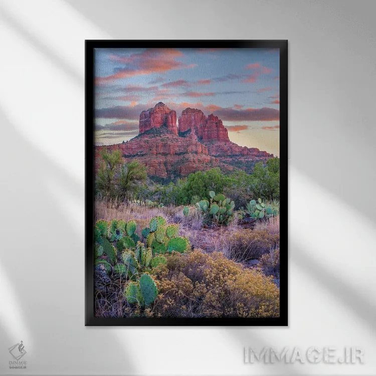 تابلو دکوراتیو Cathedral Rock, Sedona, Arizona,کاکتوس اپونتیا، صخره کاتدر… اثر تیم فیتزهریس - نمای قابدار مشکی