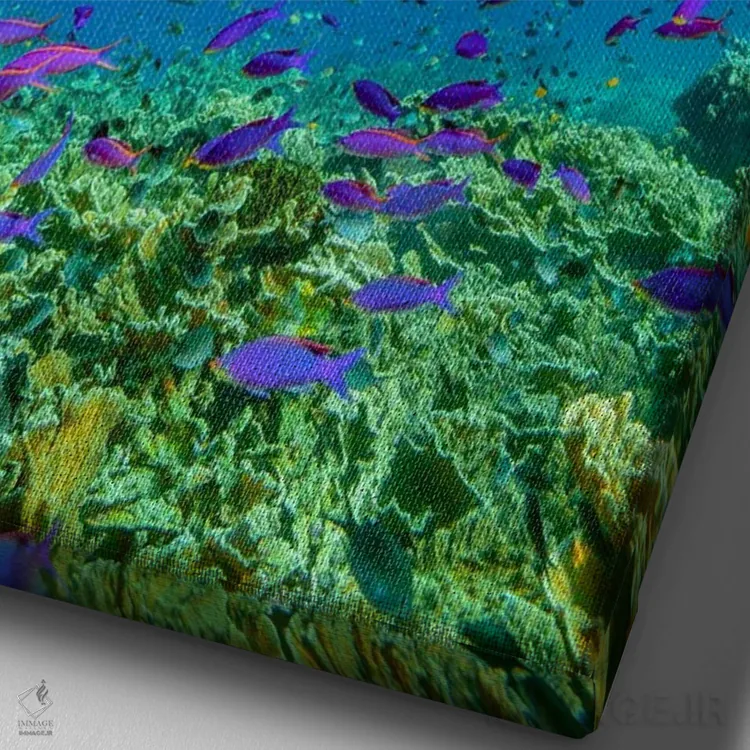 تابلو دکوراتیو Apo Island, Philippines,ماهی طوطی و راس، جزیره آپو، فیلیپی… اثر تیم فیتزهریس - نمای نزدیک بافت بوم