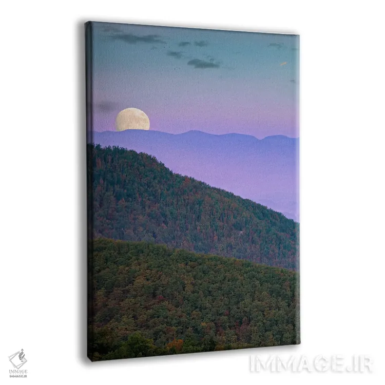 تابلو دکوراتیو Shenandoah National Park, Virginia, Composite,ماه بر فراز… اثر تیم فیتزهریس - نمای پرسپکتیو محصول