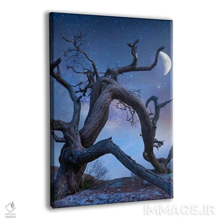 تابلو دکوراتیو Mount Scott, Wichita Mountains Nwf Oklahoma, Composite,کاج… اثر تیم فیتزهریس - نمای پرسپکتیو محصول