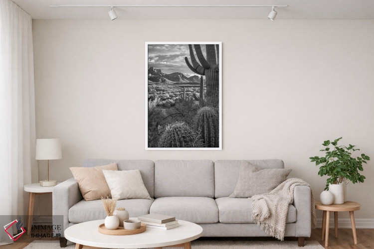 تابلو دکوراتیو Sant Catalina Mountains, Catalina State Park, Arizona,کاکت… اثر تیم فیتزهریس - D4W