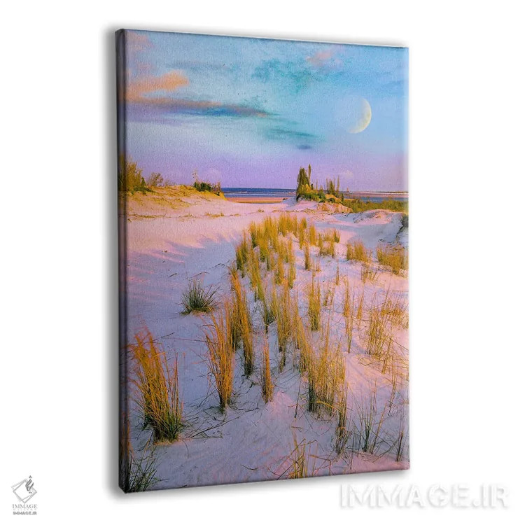 تابلو دکوراتیو Little Talbot Island State Park, Florida, Digital Composit… اثر تیم فیتزهریس - نمای پرسپکتیو محصول