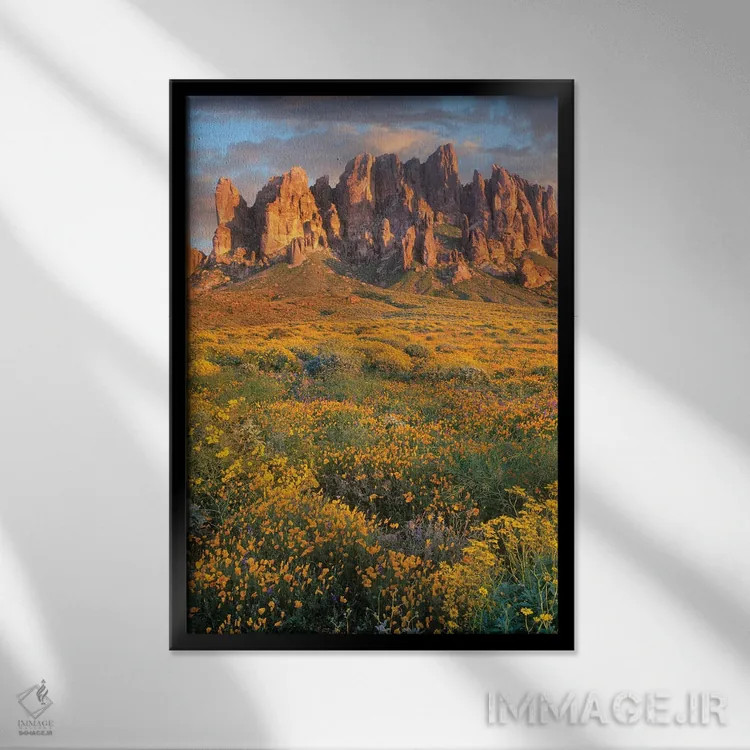 تابلو دکوراتیو Lost Dutchman State Park, Arizona,گل های وحشی و کوه های سو… اثر تیم فیتزهریس - نمای قابدار مشکی