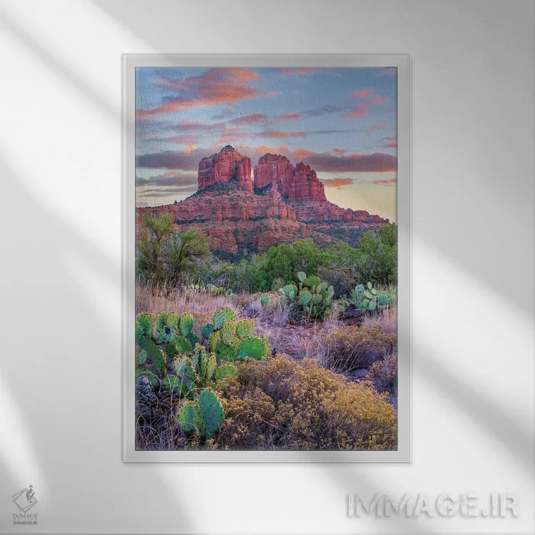 تابلو دکوراتیو Cathedral Rock, Sedona, Arizona,کاکتوس اپونتیا، صخره کاتدر… اثر تیم فیتزهریس - نمای قابدار سفید
