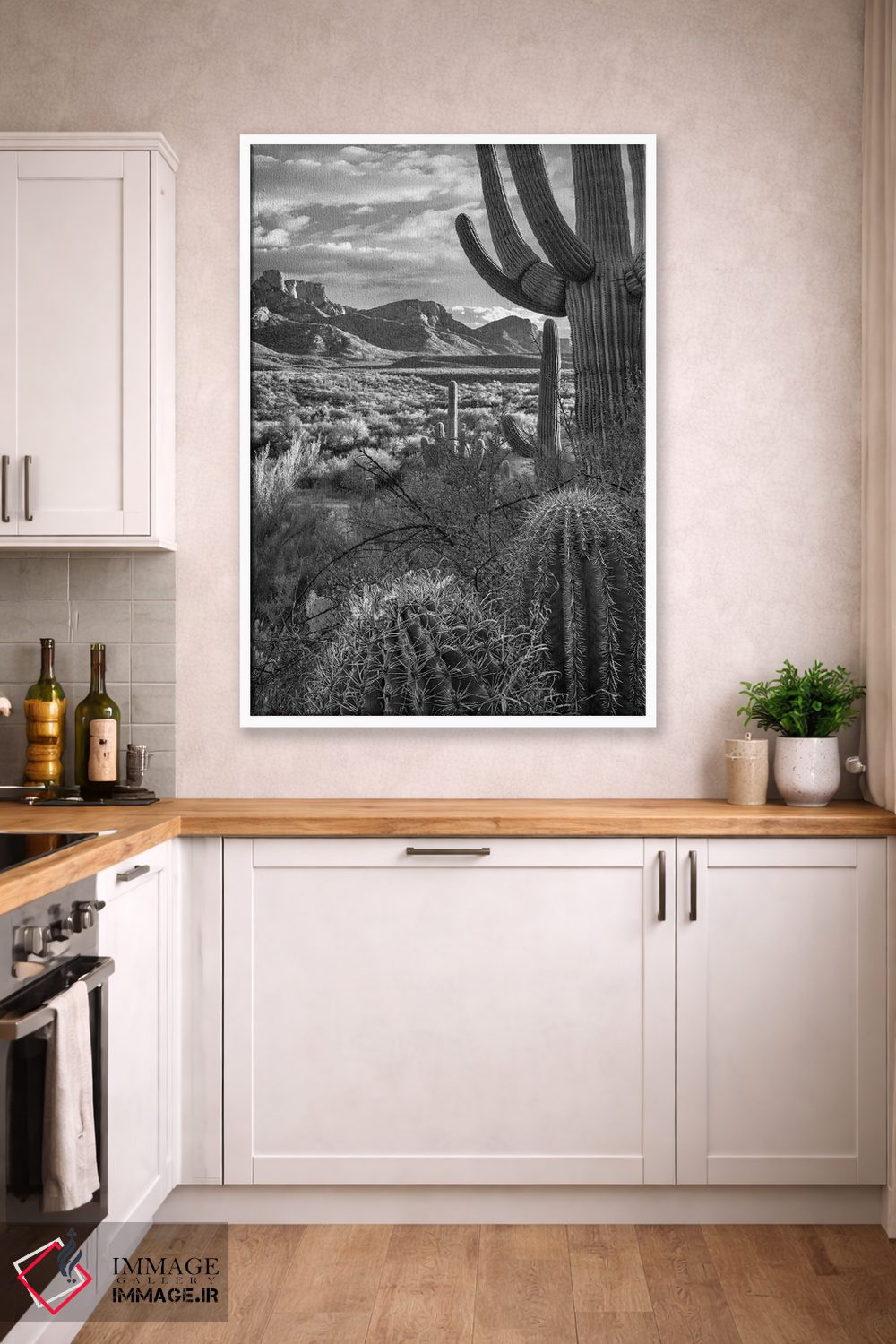 تابلو دکوراتیو Sant Catalina Mountains, Catalina State Park, Arizona,کاکت… اثر تیم فیتزهریس - D5W