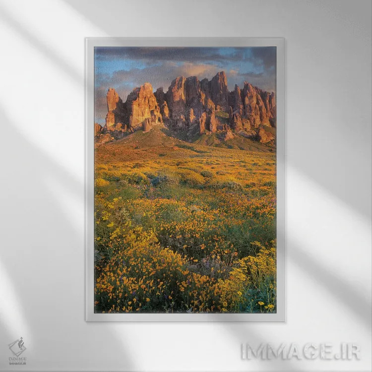 تابلو دکوراتیو Lost Dutchman State Park, Arizona,گل های وحشی و کوه های سو… اثر تیم فیتزهریس - نمای قابدار سفید