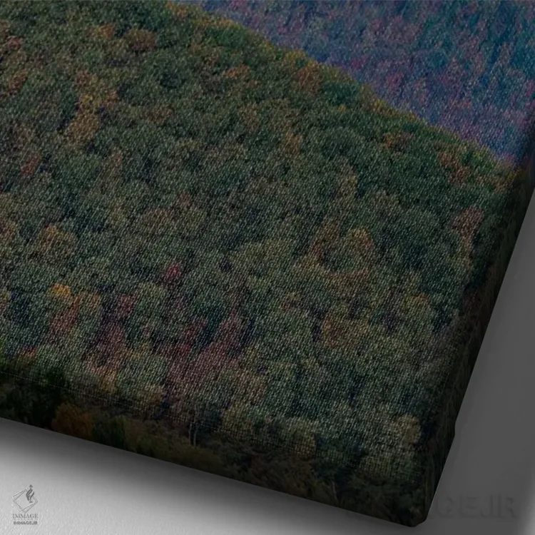 تابلو دکوراتیو Shenandoah National Park, Virginia, Composite,ماه بر فراز… اثر تیم فیتزهریس - نمای نزدیک بافت بوم