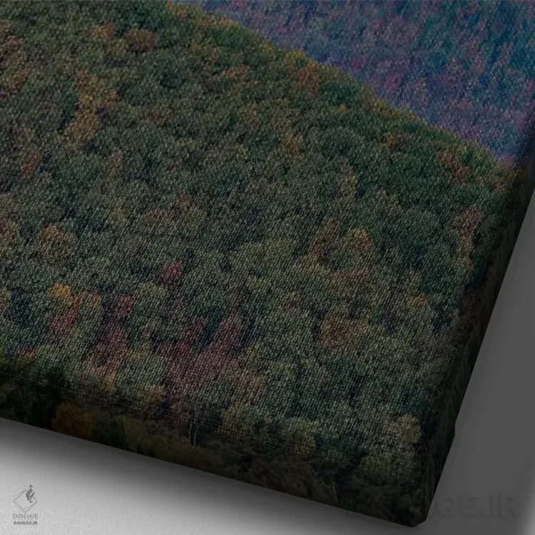 تابلو دکوراتیو Shenandoah National Park, Virginia, Composite,ماه بر فراز… اثر تیم فیتزهریس - نمای نزدیک بافت بوم