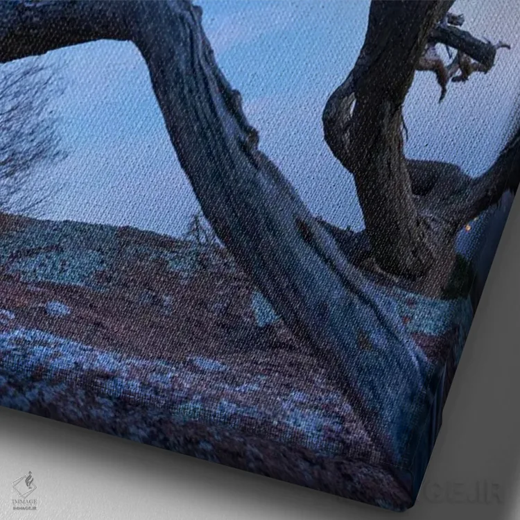 تابلو دکوراتیو Mount Scott, Wichita Mountains Nwf Oklahoma, Composite,کاج… اثر تیم فیتزهریس - نمای نزدیک بافت بوم