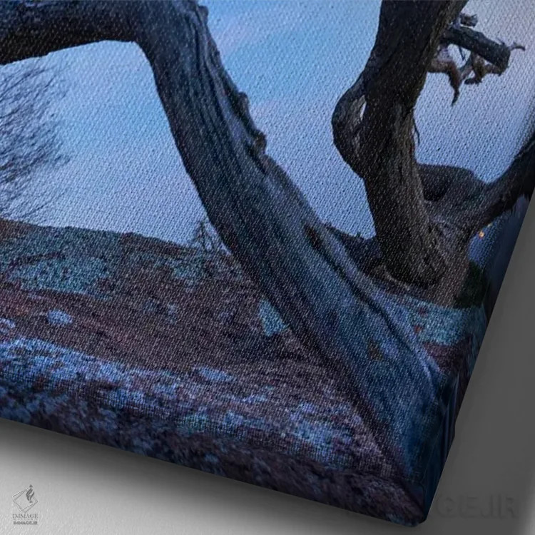 تابلو دکوراتیو Mount Scott, Wichita Mountains Nwf Oklahoma, Composite,کاج… اثر تیم فیتزهریس - نمای نزدیک بافت بوم