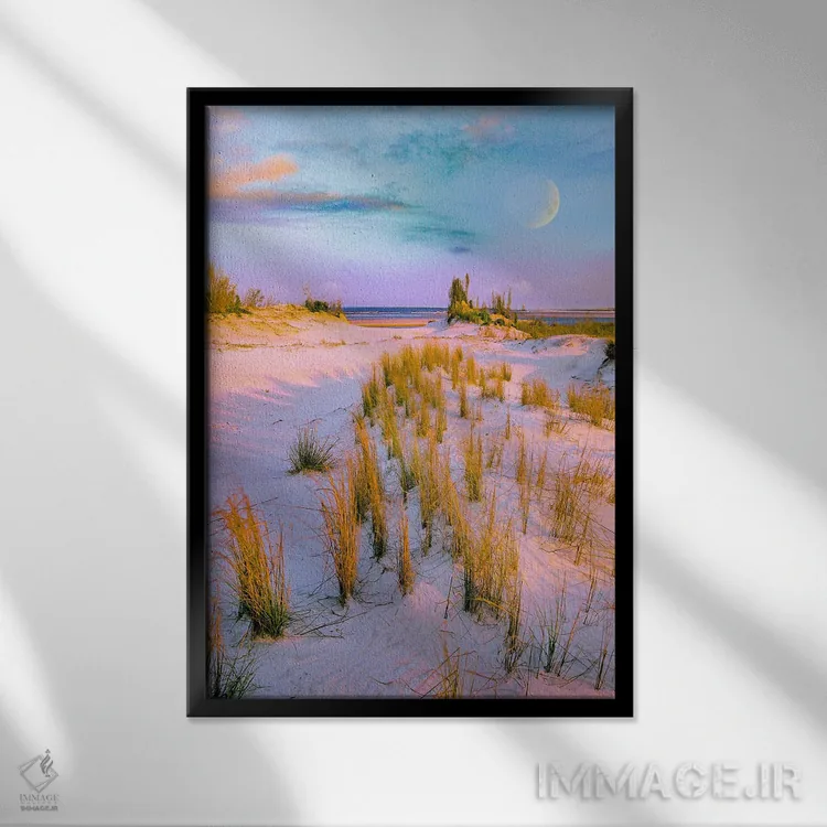 تابلو دکوراتیو Little Talbot Island State Park, Florida, Digital Composit… اثر تیم فیتزهریس - نمای قابدار مشکی