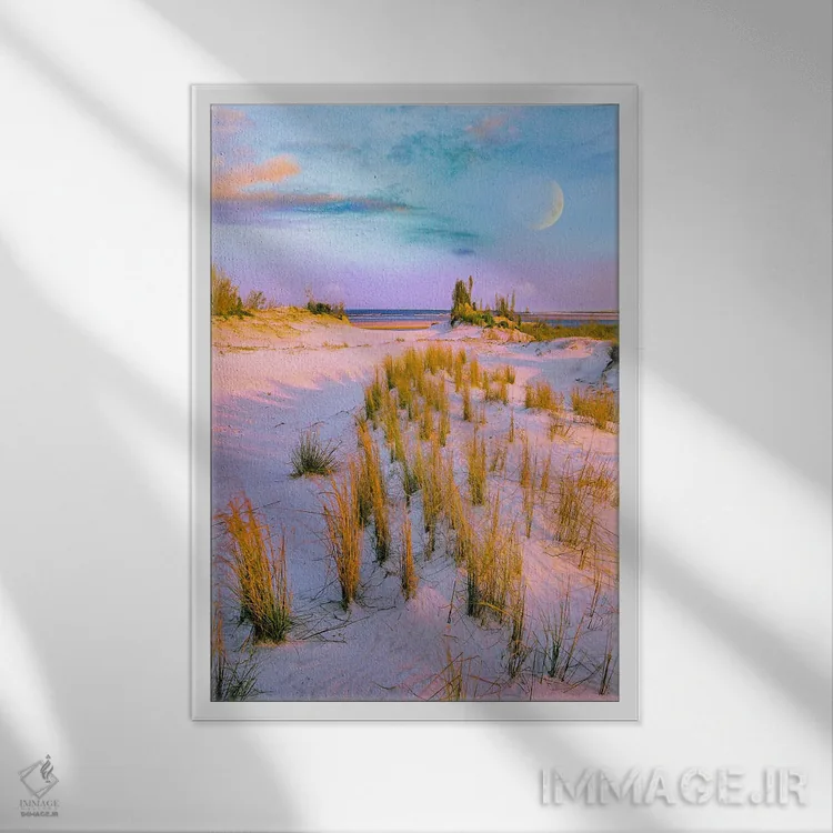 تابلو دکوراتیو Little Talbot Island State Park, Florida, Digital Composit… اثر تیم فیتزهریس - نمای قابدار سفید