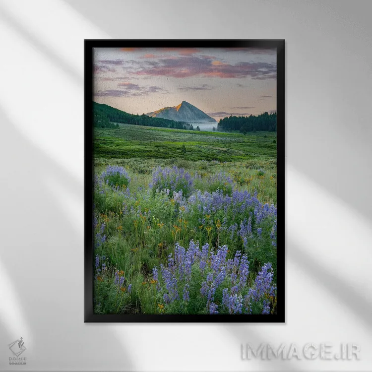 تابلو دکوراتیو Colorado,گل لوپین و کوه کرستد بیوت، کلرادو اثر تیم فیتزهریس - نمای قابدار مشکی