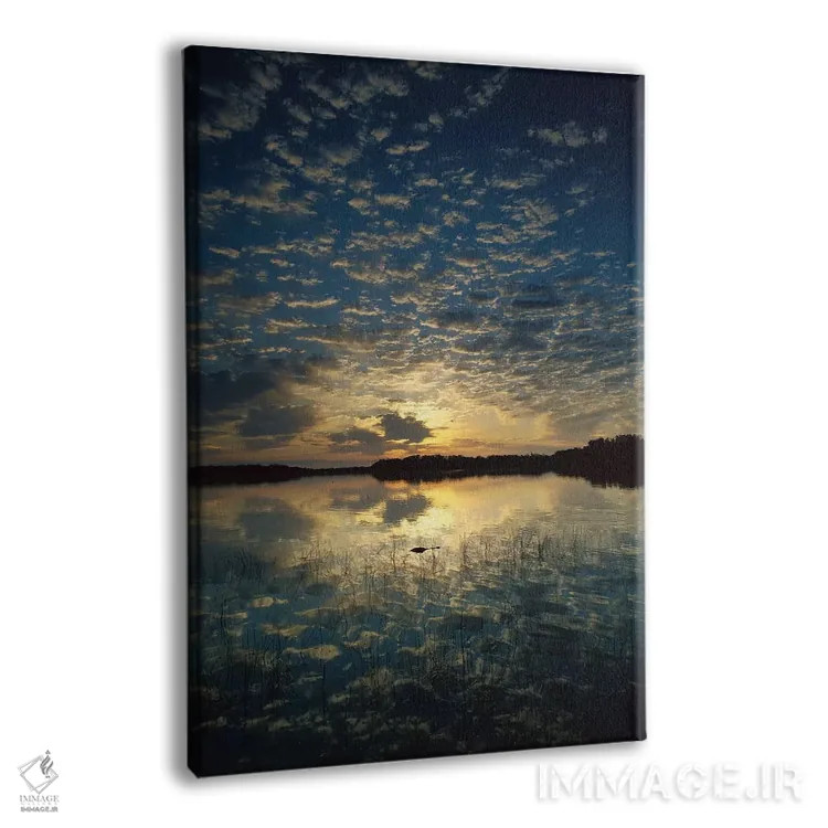 تابلو دکوراتیو Everglades National Park, Florida,کروکودیل آمریکایی در برک… اثر تیم فیتزهریس - نمای پرسپکتیو محصول