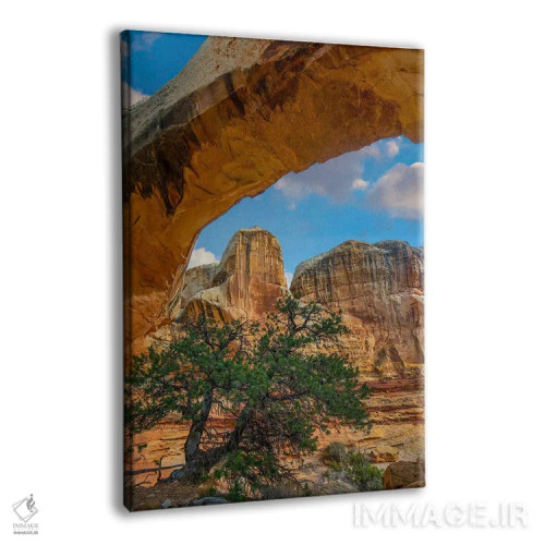 تابلو دکوراتیو Capitol Reef National Park, Utah,پل هیکمن، پارک ملی کپیتول… اثر تیم فیتزهریس - نمای پرسپکتیو محصول