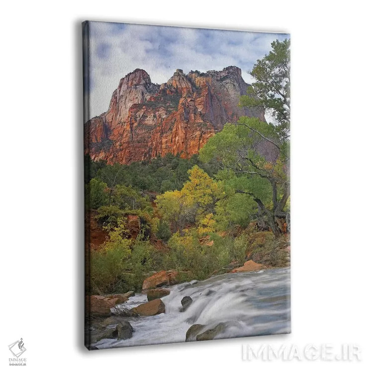 تابلو دکوراتیو Zion National Park, Utah,صخره های پدران مقدس، پارک ملی زای… اثر تیم فیتزهریس - نمای پرسپکتیو محصول