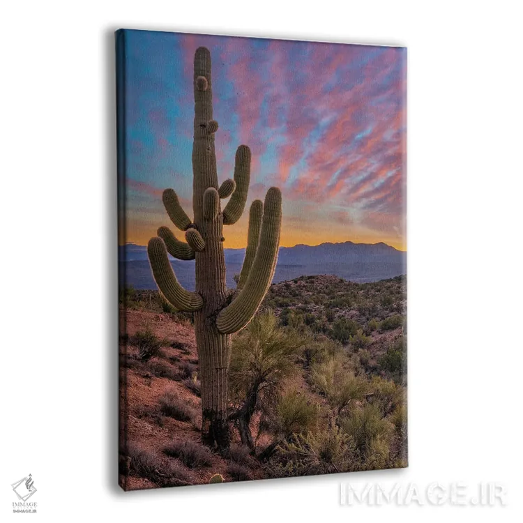تابلو دکوراتیو Arizona,کاکتوس ساگوارو و کوه های آکواریوس، آریزونا اثر تیم فیتزهریس - نمای پرسپکتیو محصول
