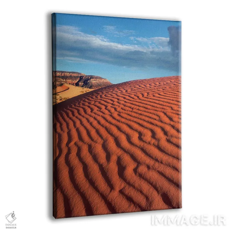 تابلو دکوراتیو Coral Pink Sand Dunes State Park, Utah,موجک ها، پارک ایالت… اثر تیم فیتزهریس - نمای پرسپکتیو محصول