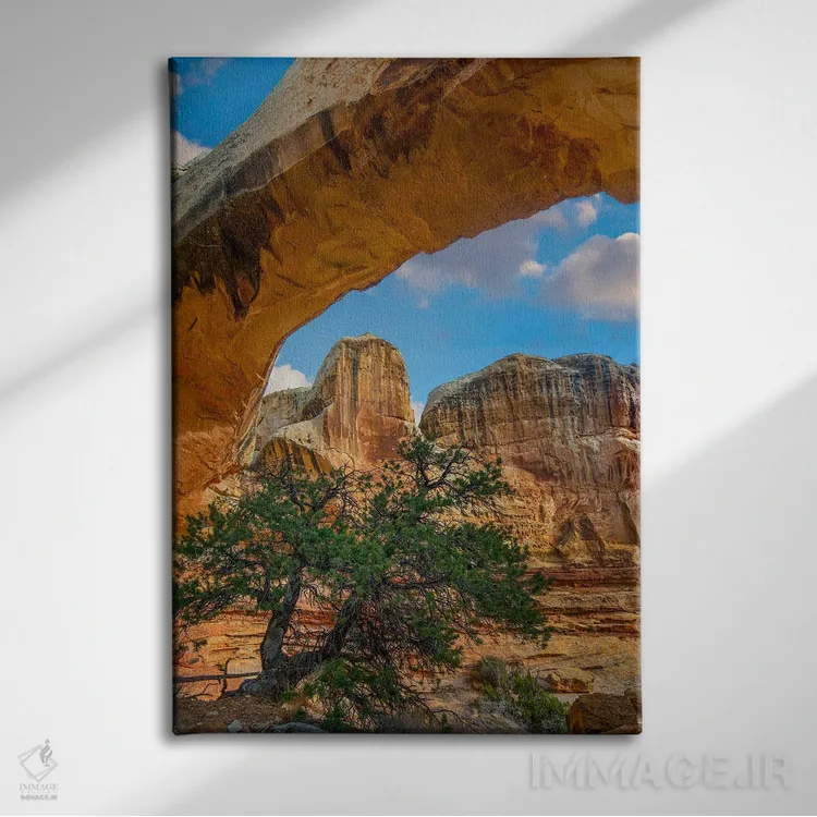 تابلو دکوراتیو Capitol Reef National Park, Utah,پل هیکمن، پارک ملی کپیتول… اثر تیم فیتزهریس - نمای روبهرو روی دیوار