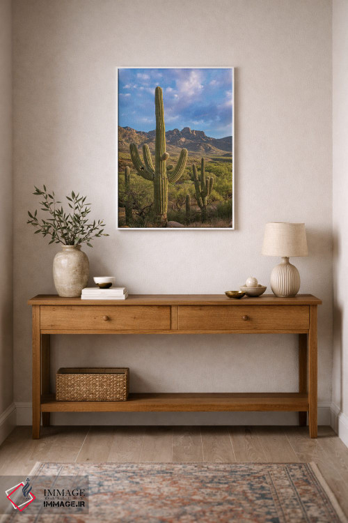 تابلو دکوراتیو Catalina State Park, Arizona,کاکتوس های ساگوارو، پارک ایال… اثر تیم فیتزهریس - D1W