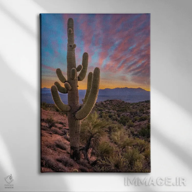 تابلو دکوراتیو Arizona,کاکتوس ساگوارو و کوه های آکواریوس، آریزونا اثر تیم فیتزهریس - نمای روبهرو روی دیوار