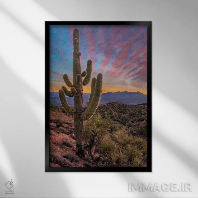 تابلو دکوراتیو Arizona,کاکتوس ساگوارو و کوه های آکواریوس، آریزونا اثر تیم فیتزهریس - نمای قابدار مشکی