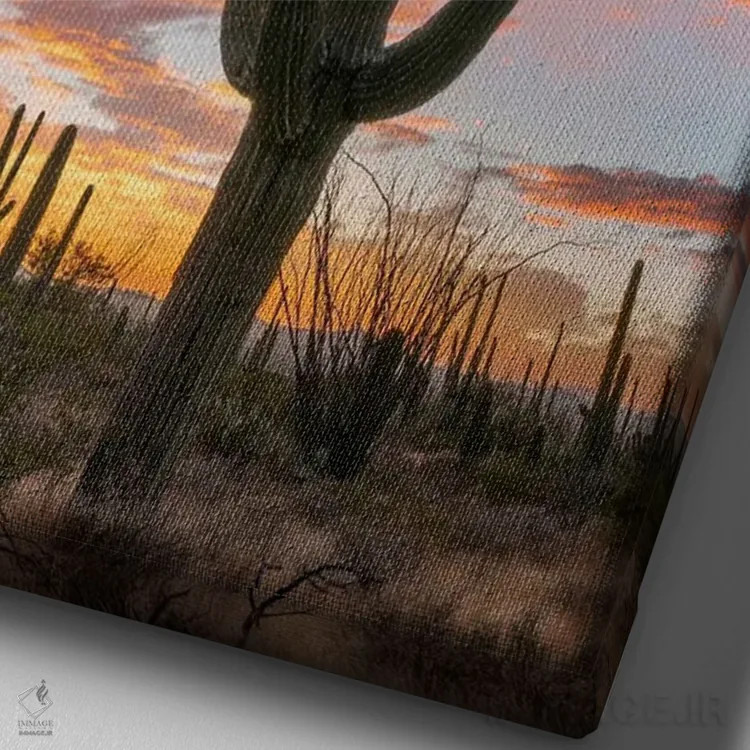 تابلو دکوراتیو Saguaro National Park, Arizona II,کاکتوس های ساگوارو در غر… اثر تیم فیتزهریس - نمای نزدیک بافت بوم