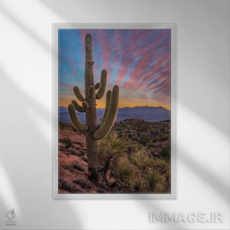 تابلو دکوراتیو Arizona,کاکتوس ساگوارو و کوه های آکواریوس، آریزونا اثر تیم فیتزهریس - نمای قابدار سفید