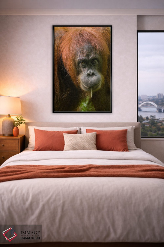 تابلو دکوراتیو Sabah, Borneo, Malaysia,تغذیه اورانگوتان، صباح، بورنئو، ما… اثر تیم فیتزهریس - D6B