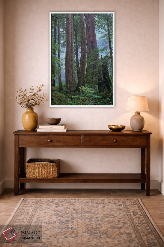 تابلو دکوراتیو Del Norte Coast Redwoods State Park, California,درختان کهن… اثر تیم فیتزهریس - D2W