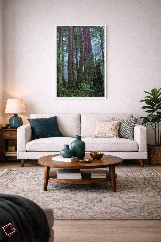 تابلو دکوراتیو Del Norte Coast Redwoods State Park, California,درختان کهن… اثر تیم فیتزهریس - D3W