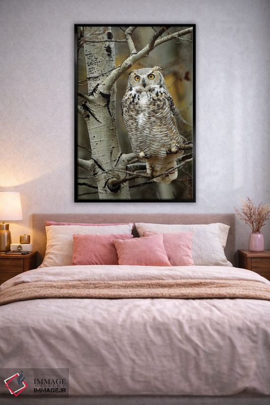 تابلو دکوراتیو Perched In Tree, Alberta, Canada,جغد شاخدار بزرگ نشسته روی… اثر تیم فیتزهریس - D3B