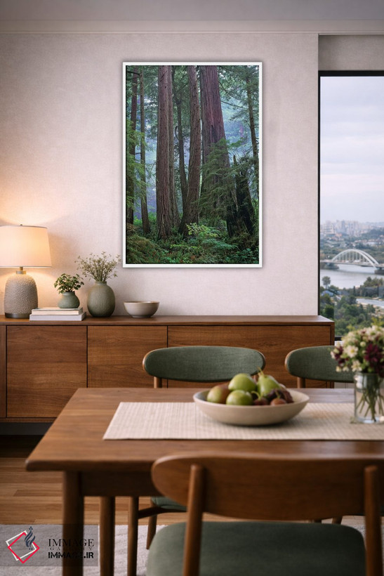 تابلو دکوراتیو Del Norte Coast Redwoods State Park, California,درختان کهن… اثر تیم فیتزهریس - D6W