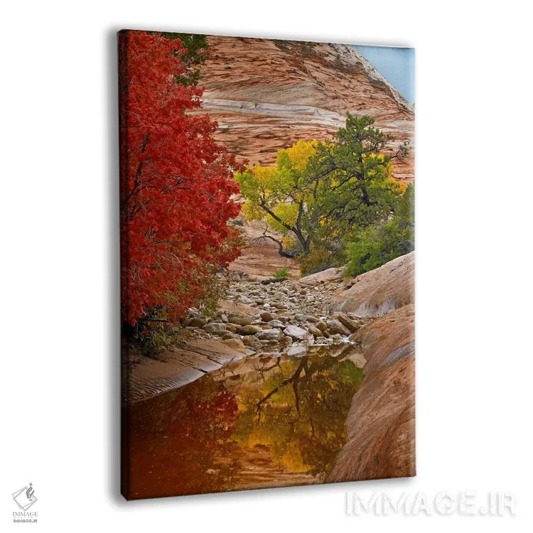 تابلو دکوراتیو Zion National Park, Utah I,برگ های پاییزی افرا و صنوبر، پا… اثر تیم فیتزهریس - نمای پرسپکتیو محصول