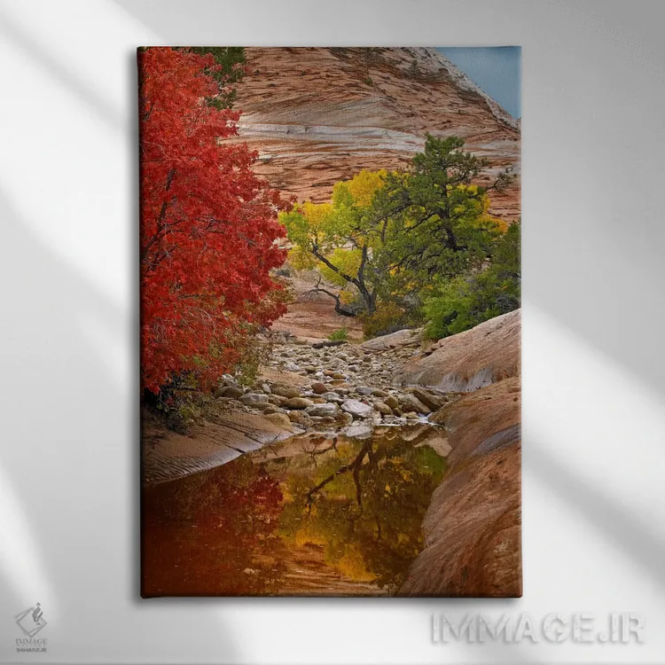 تابلو دکوراتیو Zion National Park, Utah I,برگ های پاییزی افرا و صنوبر، پا… اثر تیم فیتزهریس - نمای روبهرو روی دیوار