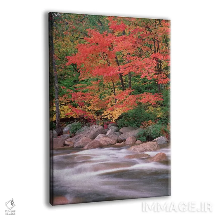 تابلو دکوراتیو White Mountains National Forest, New Hampshire,پاییز در ام… اثر تیم فیتزهریس - نمای پرسپکتیو محصول