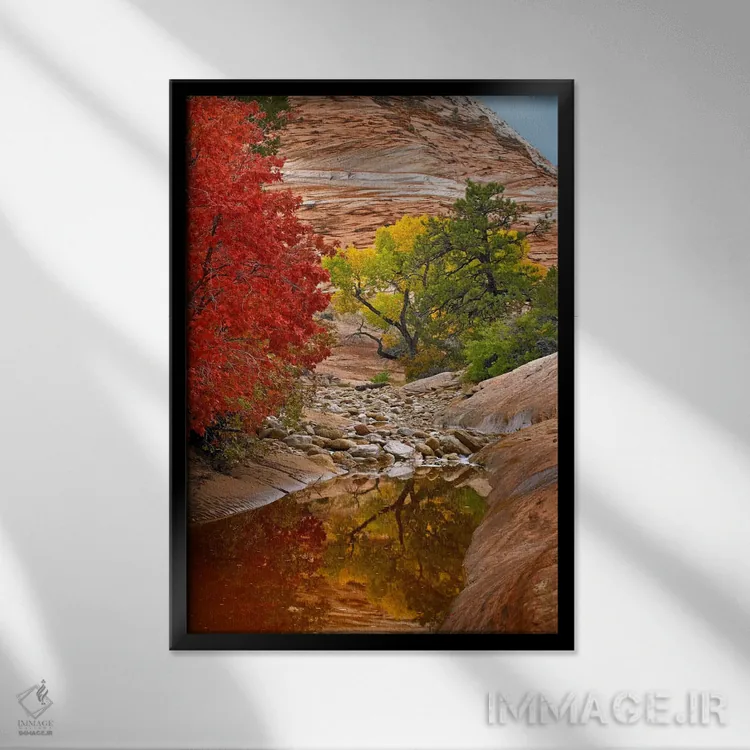 تابلو دکوراتیو Zion National Park, Utah I,برگ های پاییزی افرا و صنوبر، پا… اثر تیم فیتزهریس - نمای قابدار مشکی