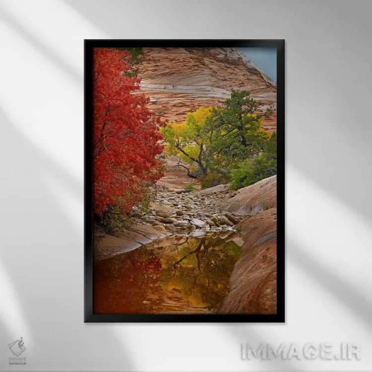 تابلو دکوراتیو Zion National Park, Utah I,برگ های پاییزی افرا و صنوبر، پا… اثر تیم فیتزهریس - نمای قابدار مشکی