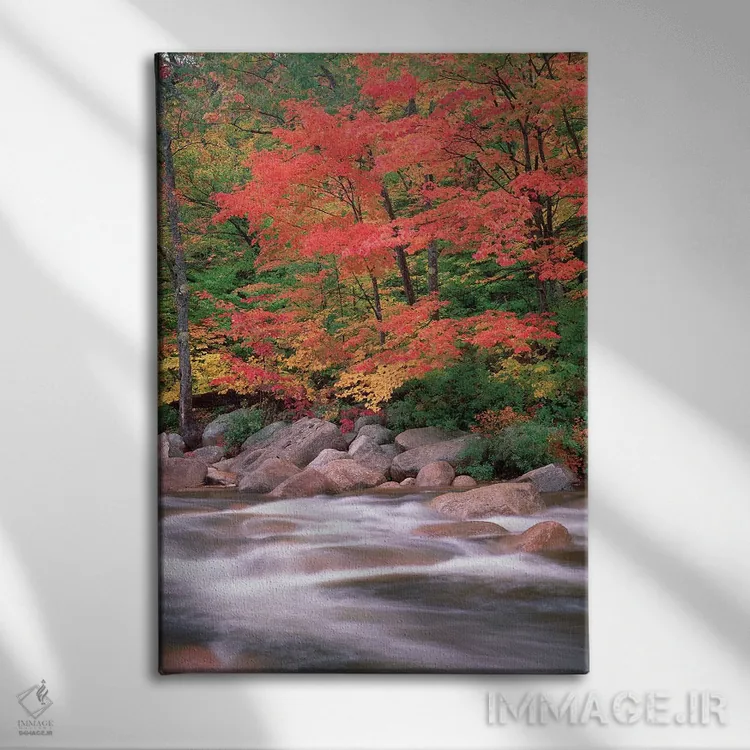 تابلو دکوراتیو White Mountains National Forest, New Hampshire,پاییز در ام… اثر تیم فیتزهریس - نمای روبهرو روی دیوار