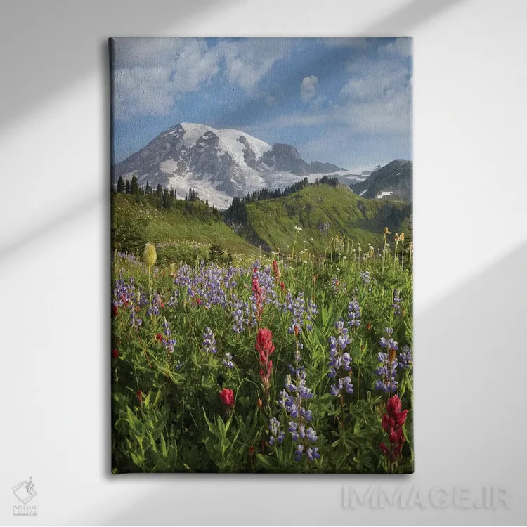 تابلو دکوراتیو Mount Rainier National Park, Washington,چمنزار پارادایس و… اثر تیم فیتزهریس - نمای روبهرو روی دیوار