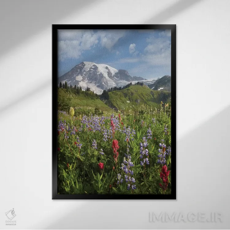 تابلو دکوراتیو Mount Rainier National Park, Washington,چمنزار پارادایس و… اثر تیم فیتزهریس - نمای قابدار مشکی