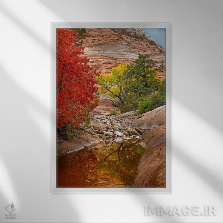 تابلو دکوراتیو Zion National Park, Utah I,برگ های پاییزی افرا و صنوبر، پا… اثر تیم فیتزهریس - نمای قابدار سفید