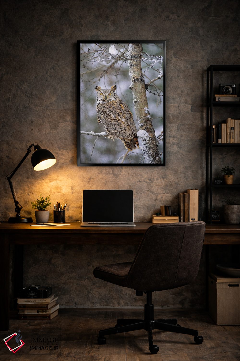 تابلو دکوراتیو Pale Form, Perching In A Snow-Covered Tree, British Columb… اثر تیم فیتزهریس - D6B