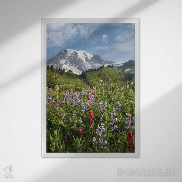 تابلو دکوراتیو Mount Rainier National Park, Washington,چمنزار پارادایس و… اثر تیم فیتزهریس - نمای قابدار سفید