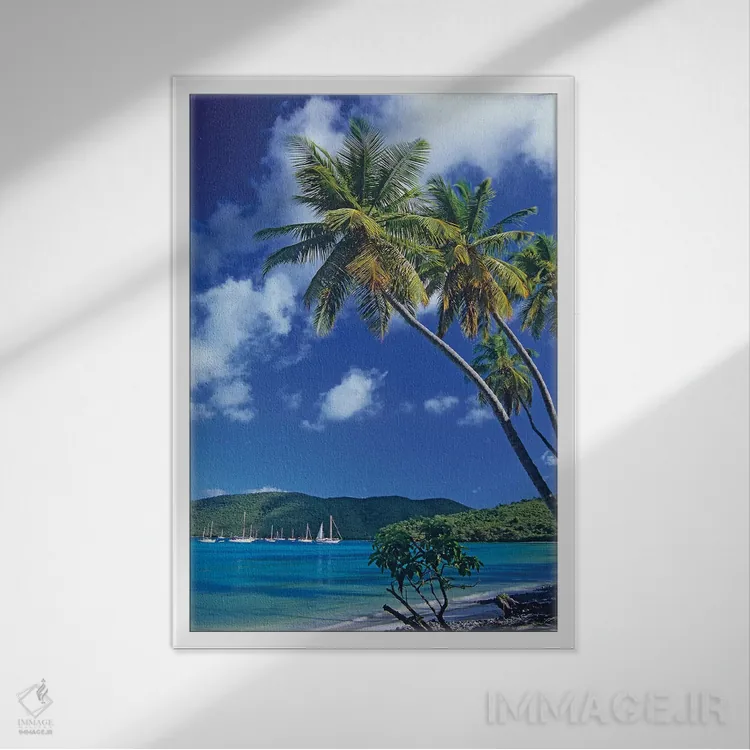 تابلو دکوراتیو Virgin Islands,درختان نخل در خلیج ماهو، جزایر ویرجین اثر تیم فیتزهریس - نمای قابدار سفید