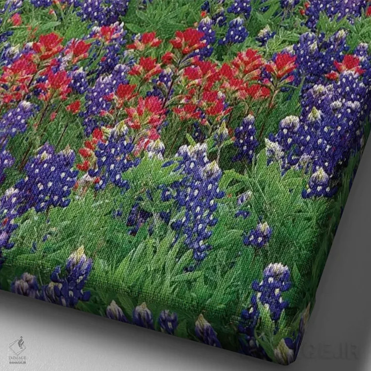 تابلو دکوراتیو Hill Country, Texas III,گل های سند بلوبانت و پینتبراش، هیل… اثر تیم فیتزهریس - نمای نزدیک بافت بوم