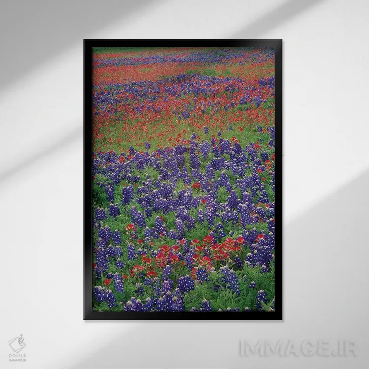 تابلو دکوراتیو Hill Country, Texas III,گل های سند بلوبانت و پینتبراش، هیل… اثر تیم فیتزهریس - نمای قابدار مشکی
