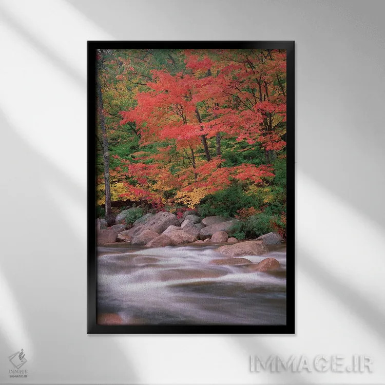 تابلو دکوراتیو White Mountains National Forest, New Hampshire,پاییز در ام… اثر تیم فیتزهریس - نمای قابدار مشکی
