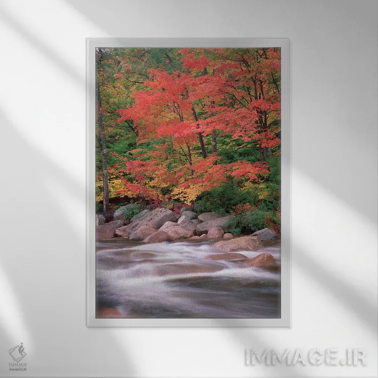 تابلو دکوراتیو White Mountains National Forest, New Hampshire,پاییز در ام… اثر تیم فیتزهریس - نمای قابدار سفید