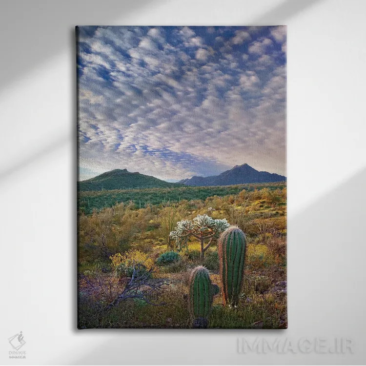 تابلو دکوراتیو Arizona Amid Flowering Lupine And California Brittlebush I… اثر تیم فیتزهریس - نمای روبهرو روی دیوار